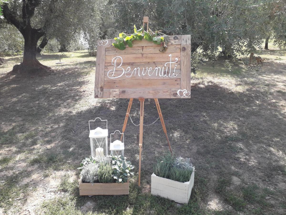 Appartamento Fonteregia *