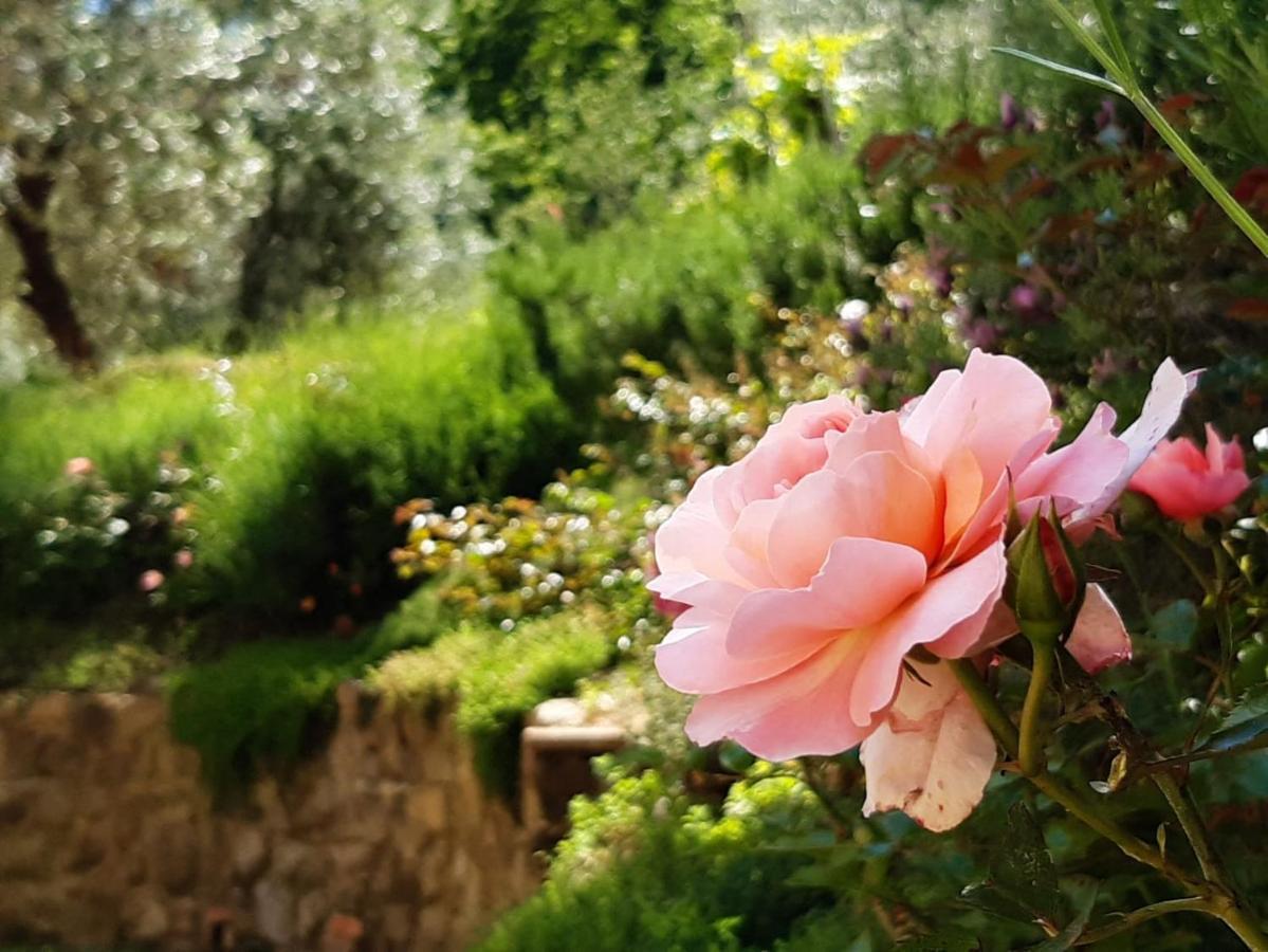 Appartamento Fonteregia